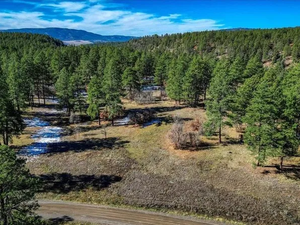 222 Regal Pines Court, Pagosa Springs, CO 81147