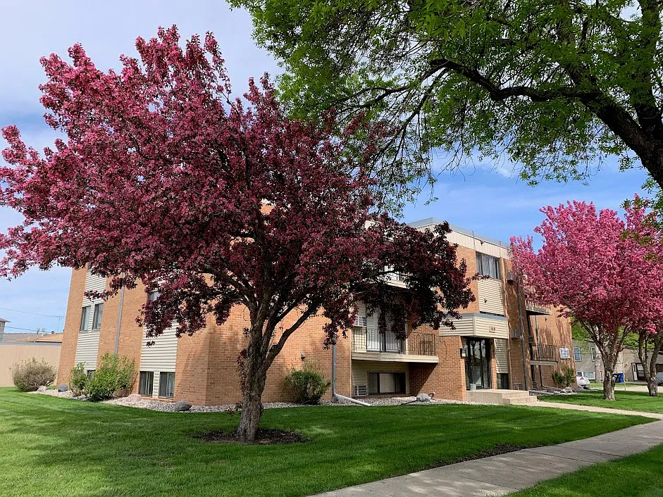 Silver Leaf - North Fargo