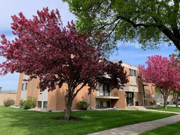 Silver Leaf - North Fargo