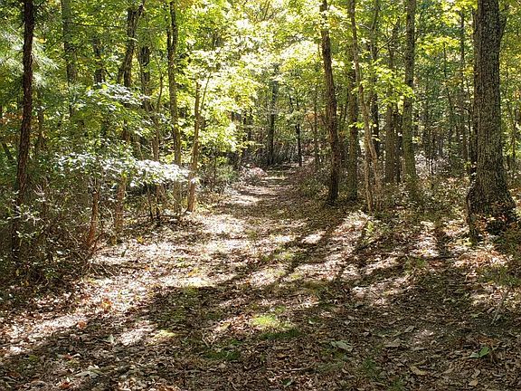 2nd image of 0 Trey Ct Lot 35 & 35