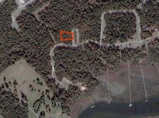 207 Pearlware Ct, Charleston, SC 29492