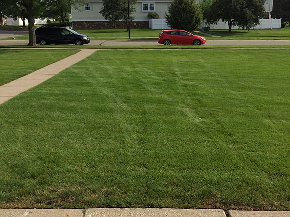 Lawn in front of main door