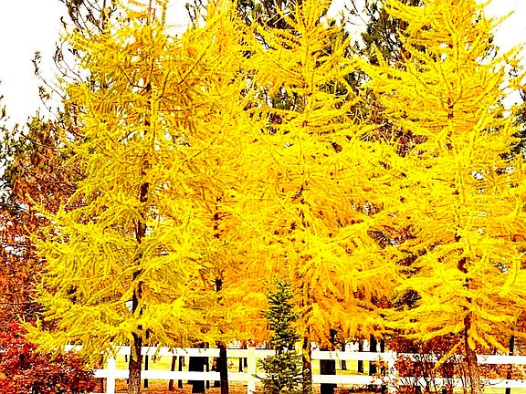 4th image of 2019 E Brunner Rd