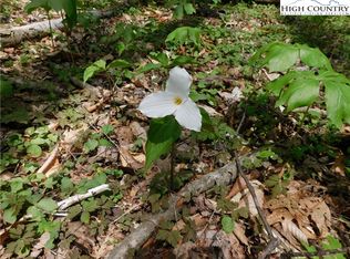 LOT 26 Black Bear Trl, Linville, NC 28646