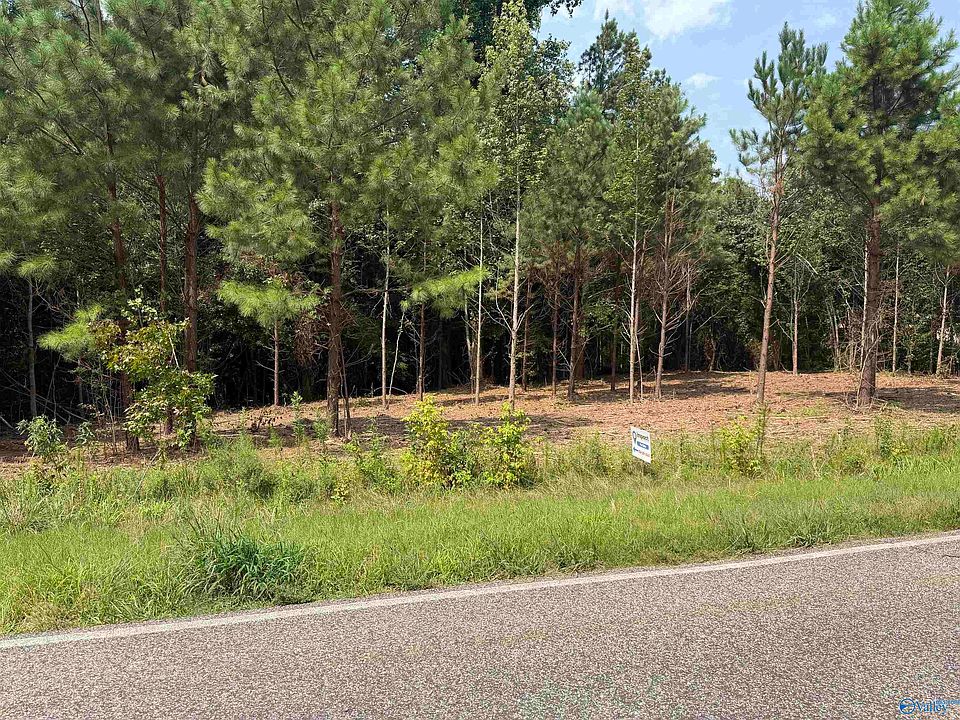 2nd image of TRACT 2 Flanagan Rd