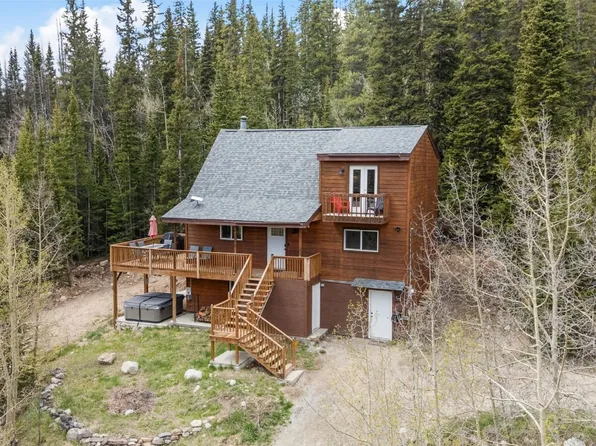 894 Peterson Drive, Alma, CO 80420
