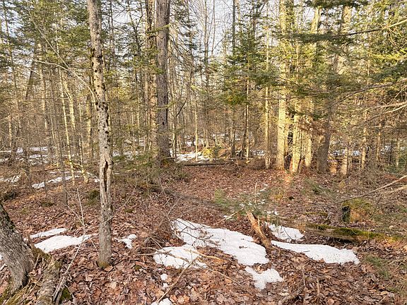 2nd image of 370 Maple Road