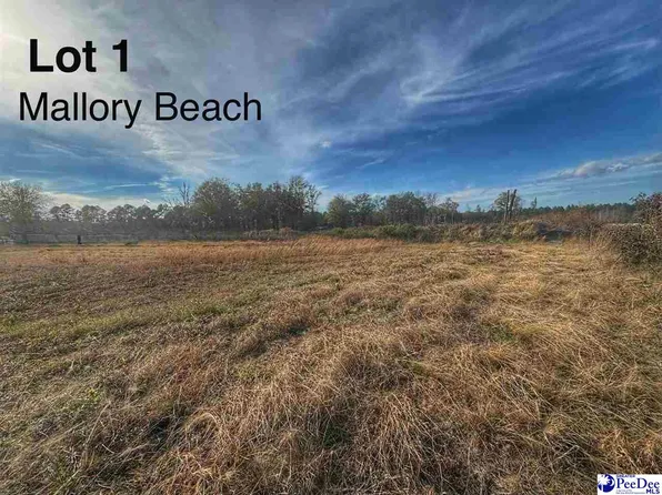 LOT 1 Mallory Beach Rd, Latta, SC 29565
