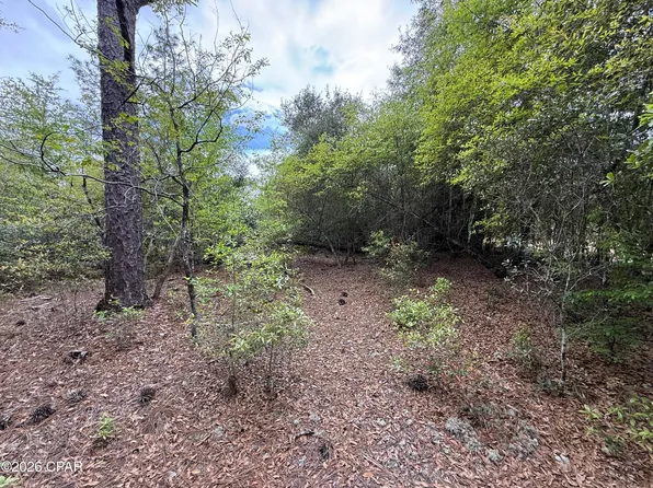 19678 Walsh Rd, Fountain, FL 32438