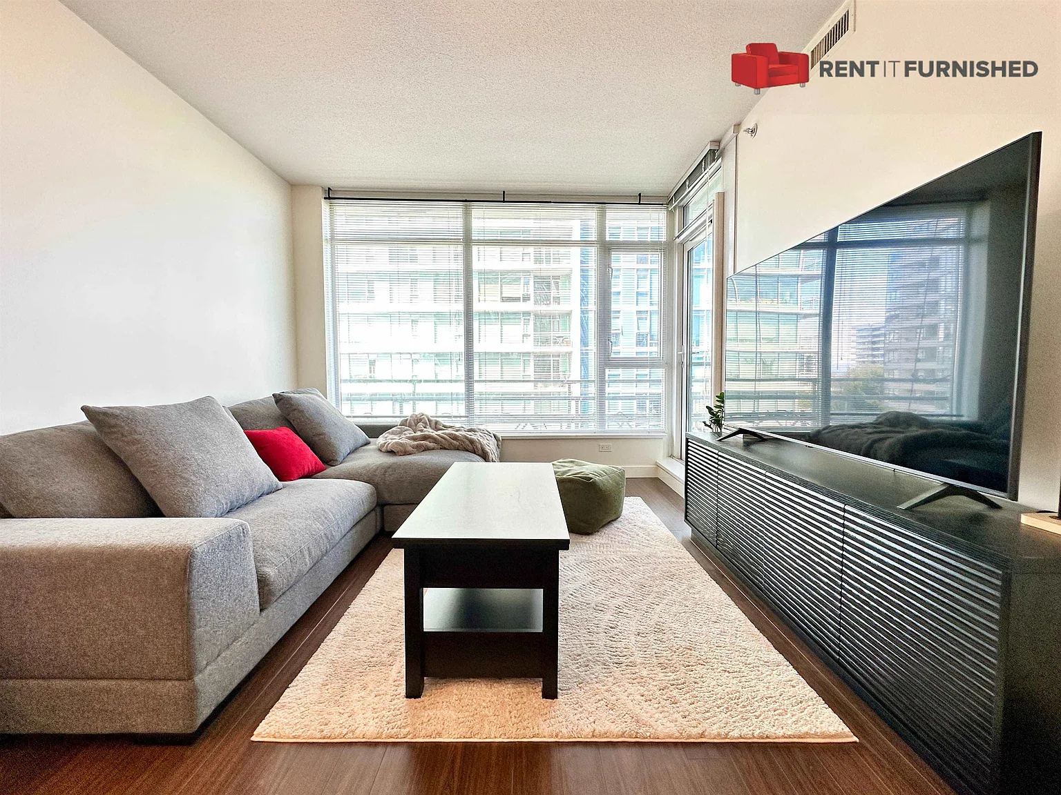 2 bed, 732 sqft, $2,995 — Photo 2