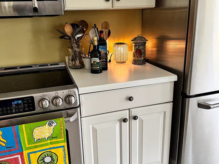 676 Shadow Bay Way — Photo 10