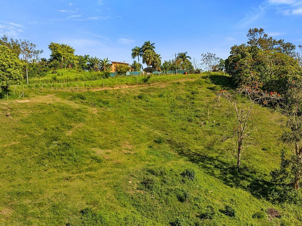 1st image of Bo Rio Grande Carr 115 16.4 Solar #A