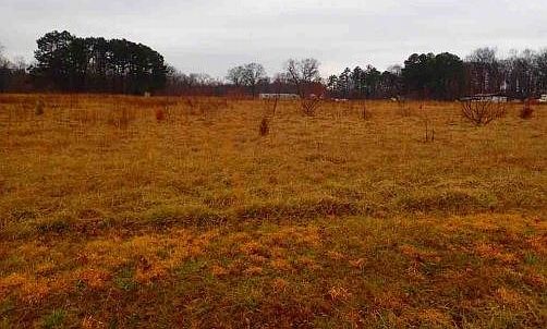 Exterior Neighborhood (street photo)