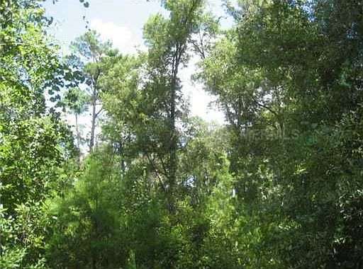 1st image of 3485 Timber Lane Dr