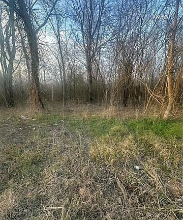 4th image of 0 River Ln