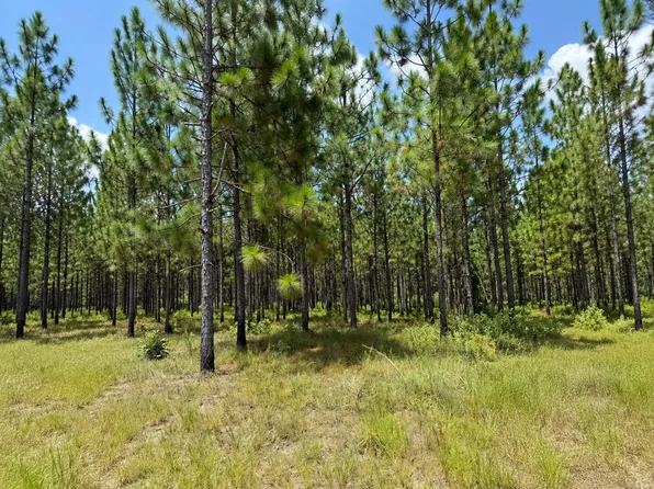 PARCEL 4 Miller Farm Rd, Lumberton, MS 39455
