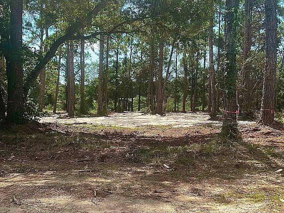 3rd image of Robinson Ln