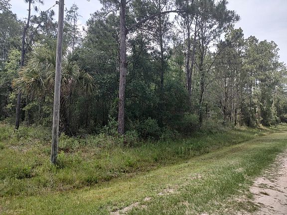 5th image of 4545 Palatka Blvd
