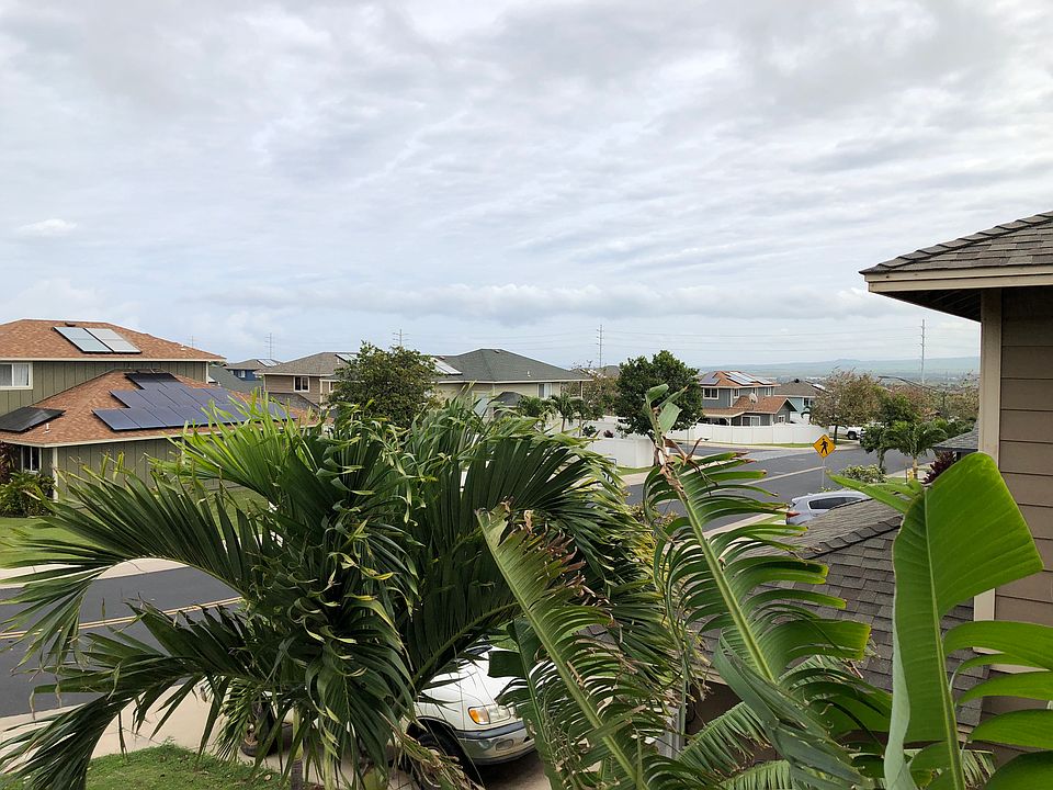 North shore surf check