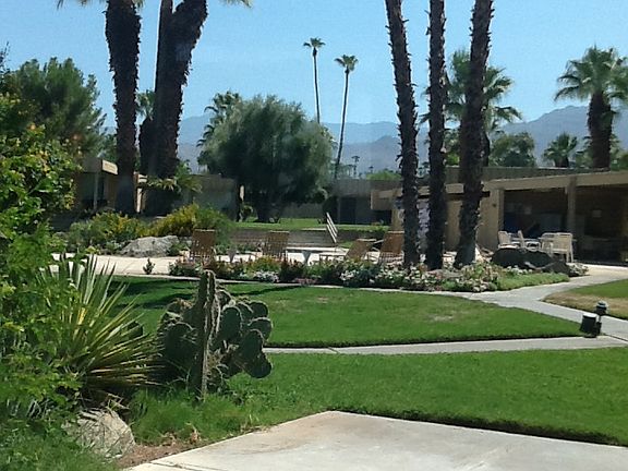 Patio/Pool