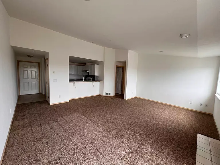 Brand new carpet.