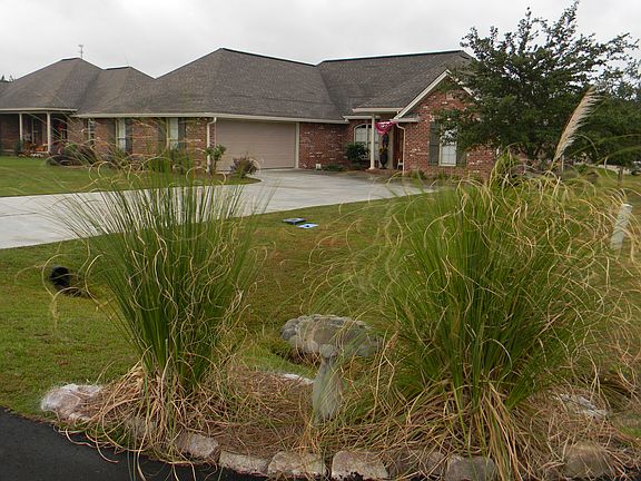 Beautiful Corner Lot