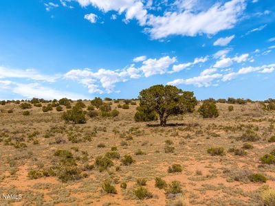 915 E Pine Rd #5, Williams, AZ, 86046