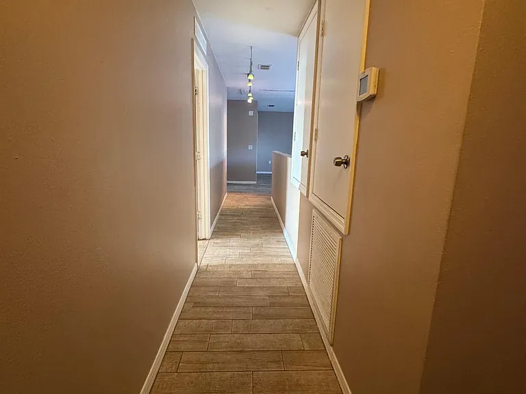 313 Fish Hawk Dr — Photo 23