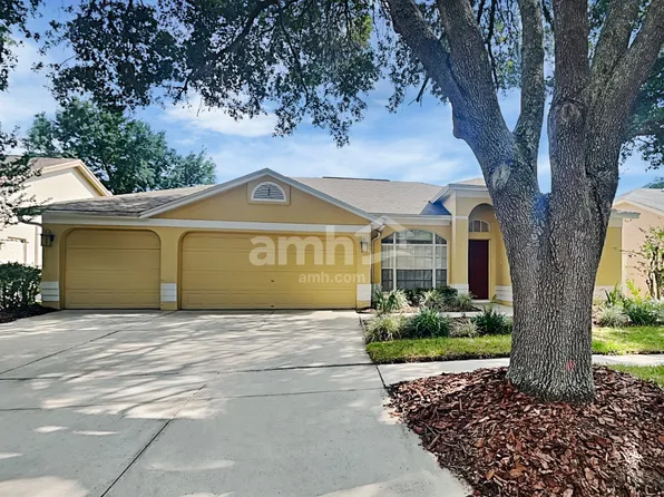 9303 Heritage Oak Ct, Tampa, FL 33647