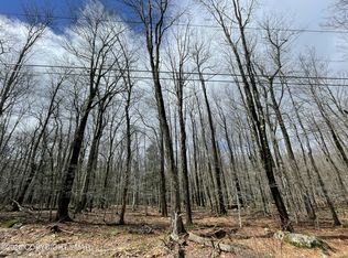 46 Tuscarora Trl, Gouldsboro, PA