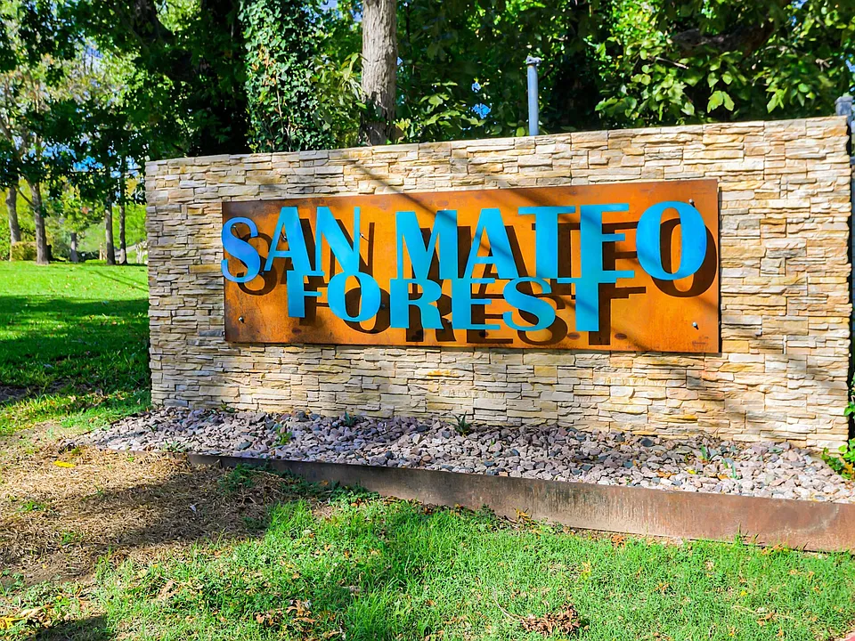 San Mateo Forest