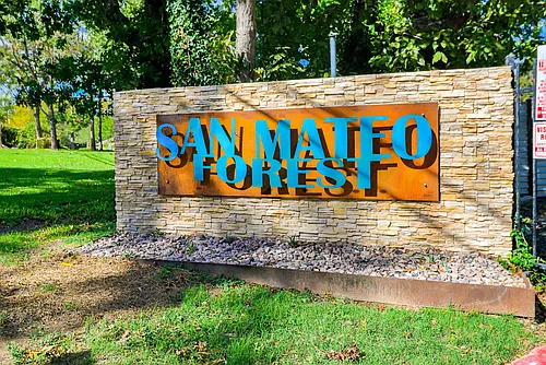 San Mateo Forest Photo 1