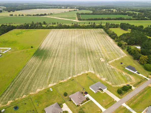 0 Sandbed Rd, Newton, AL 36352