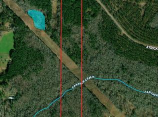 3524 Strickland Town Rd, Luthersville, GA 30251