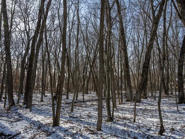Lot 10 Oak Hill Estates E #10, Mauston, WI 53948