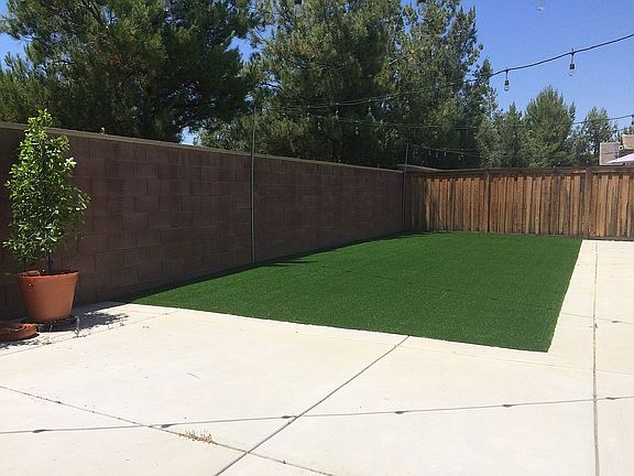 Backyard (Garage side)