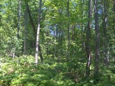 Sauble Rd, Free Soil, MI, 49411