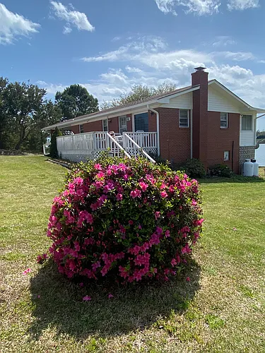 81 Dennis Dr Photo 1