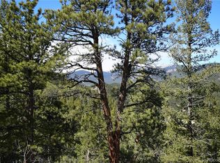 119 Six Bits St, Bailey, CO 80421