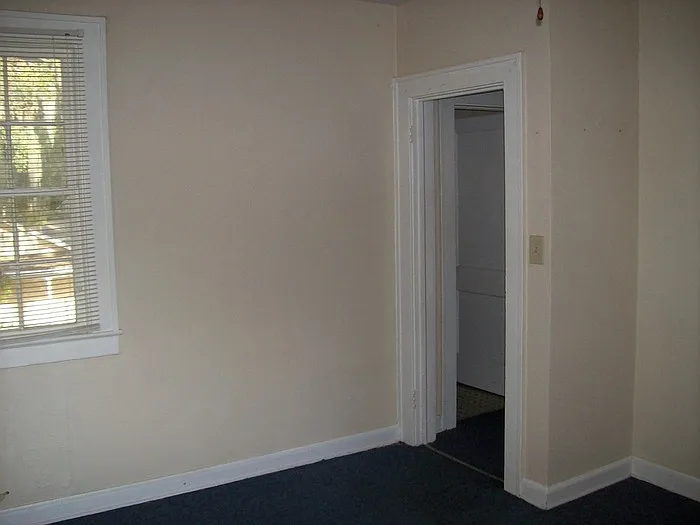 1 bed, 1.0 bath, $800 — Photo 3