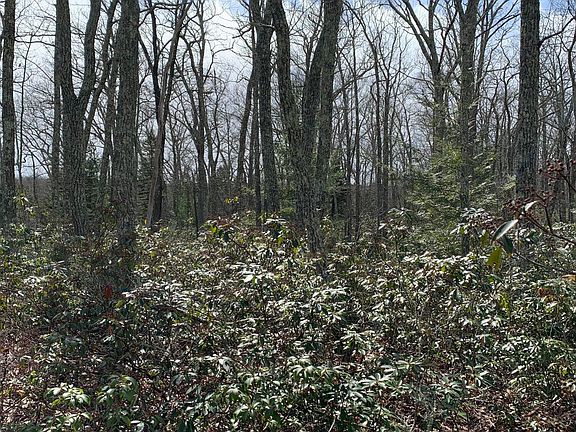 4th image of 266 Fox Rd