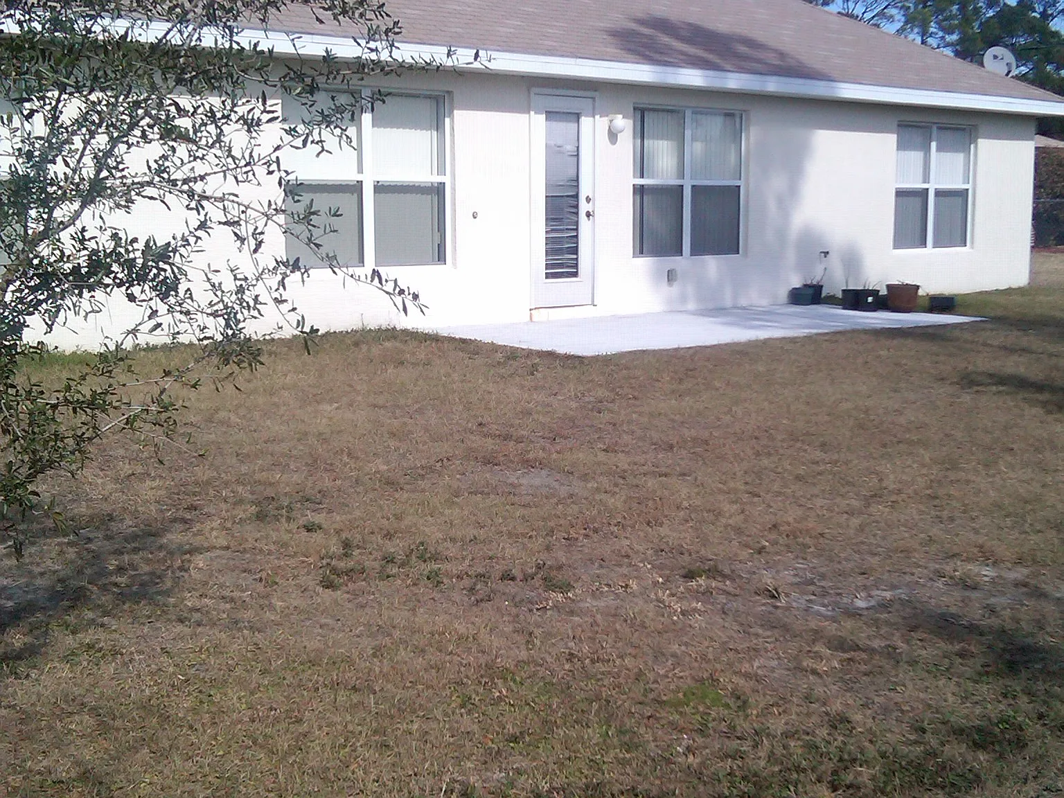 4 bed, 2548 sqft, $2,379 — Photo 4