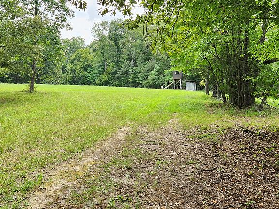 3rd image of 0 E Haleys Creek Rd