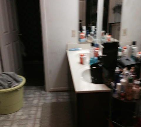 4th image of 14918 Saddle Creek Dr