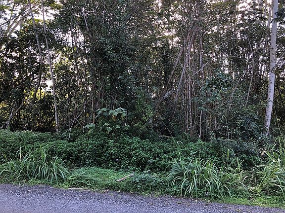 4th image of 21st Ave Lot 390