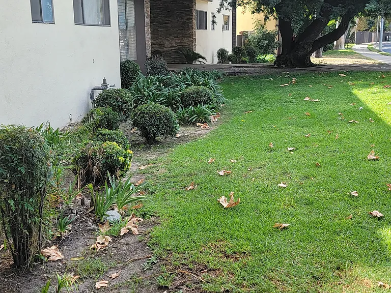8740 Topanga Canyon Blvd #6 — Photo 5