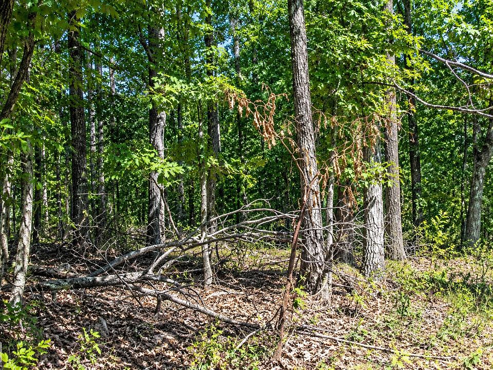 1st image of 21 Cooper Point Dr