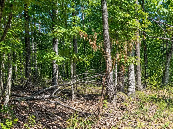 21 Cooper Point Dr, Mountain View, AR 72560