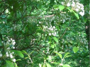 398 Stonehouse Rd, Williamsburg, VA 23188