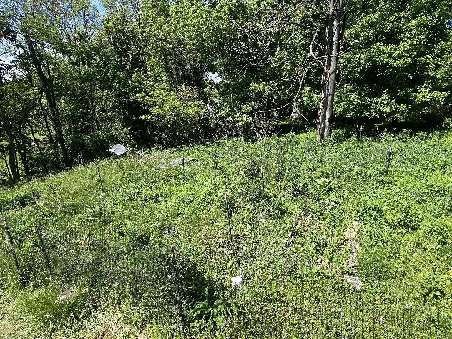 75 Briar Trail, Harpers Ferry WV 25425 — Photo 3